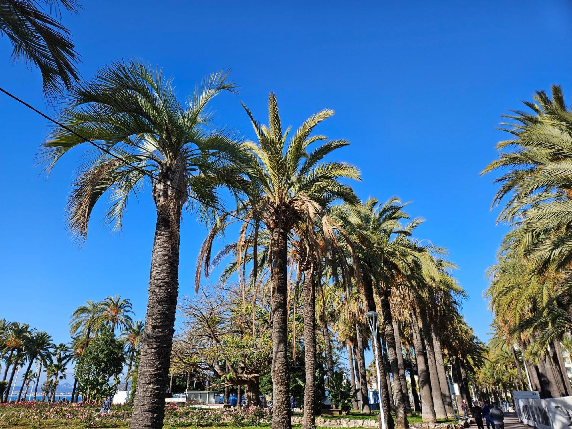 Appartamento The Yachting - Host Provence Le Cannet Esterno foto